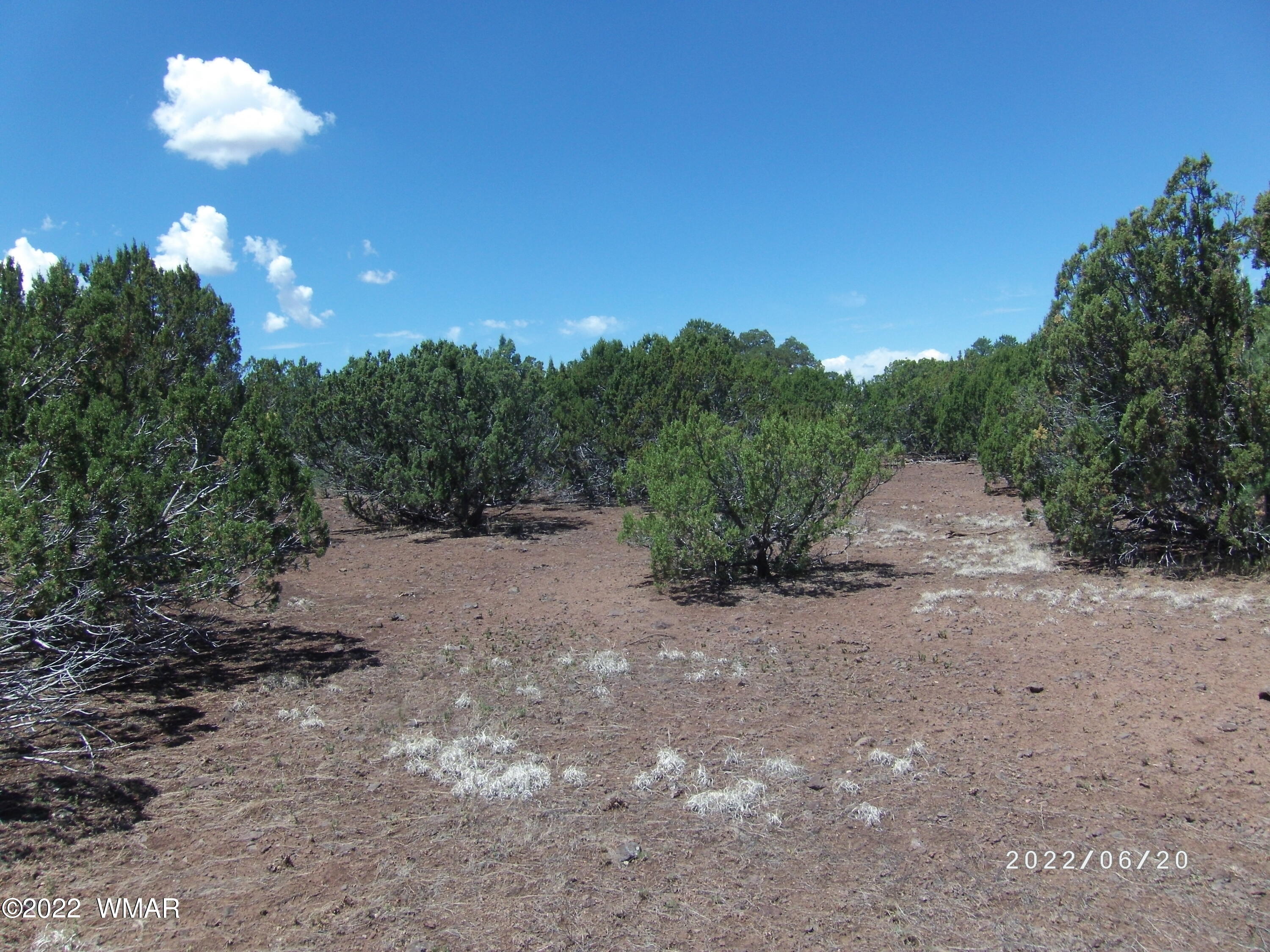 54 County Road Show Low, AZ 85901 - Photo 6 of 6