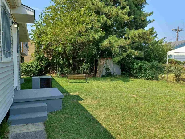 a view of a backyard with plants and large trees