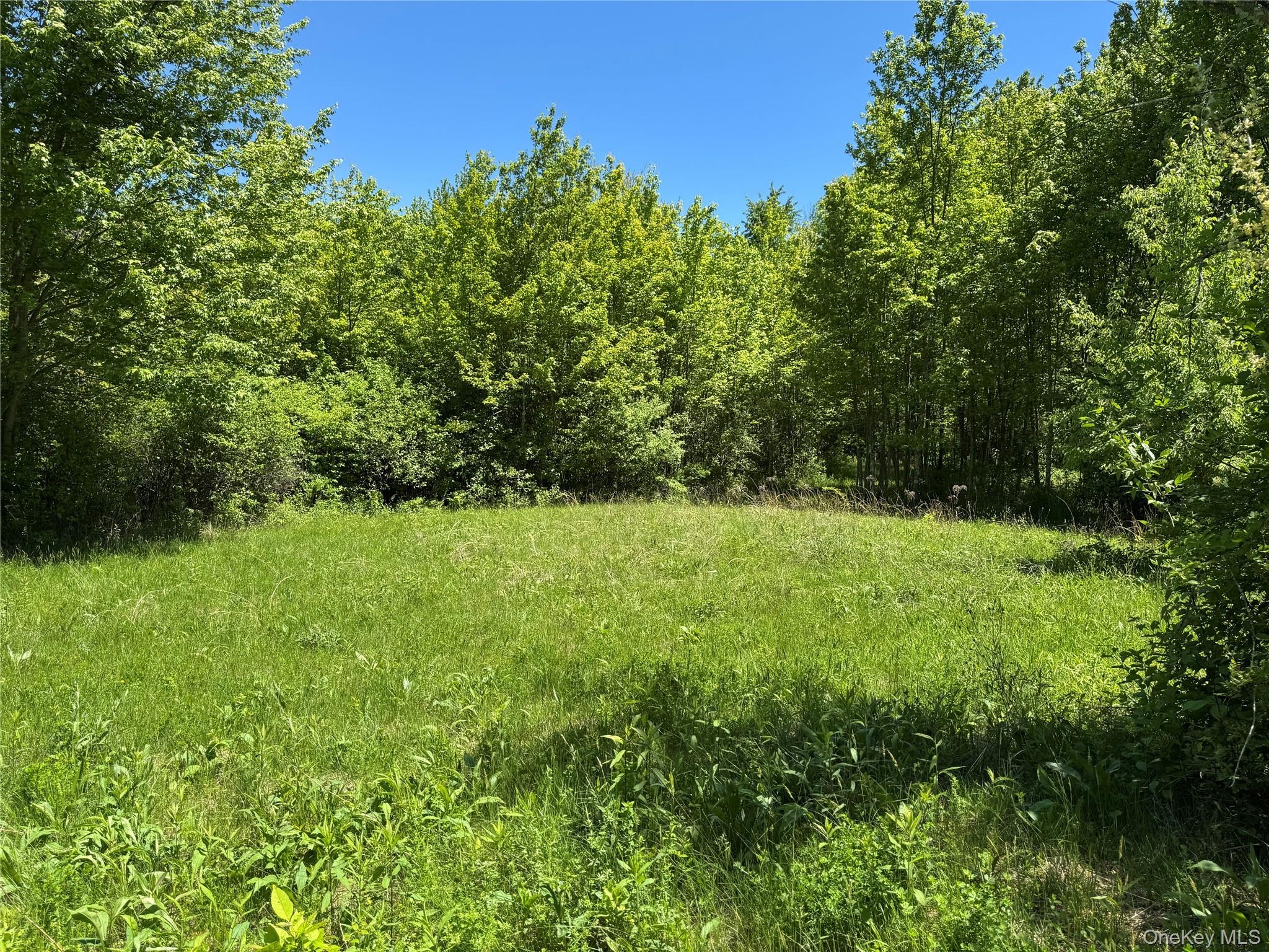 Parcel 1-tbd Woodstock Road Millbrook, NY 12545 - Photo 2 of 9 Open view