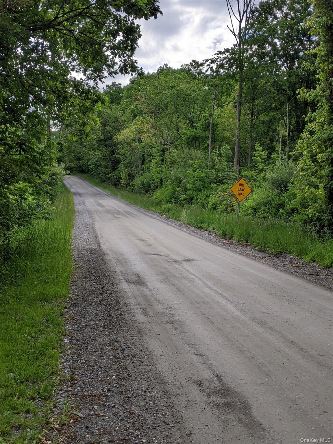 Parcel 1-tbd Woodstock Road Millbrook, NY 12545 - Photo 4 of 9 View of gravel road