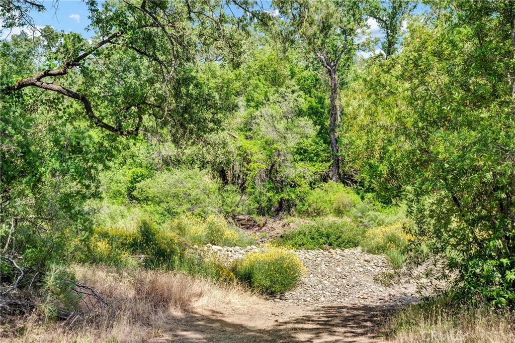22550 Shady Grove Road Middletown, CA 95461 - Photo 45 of 68