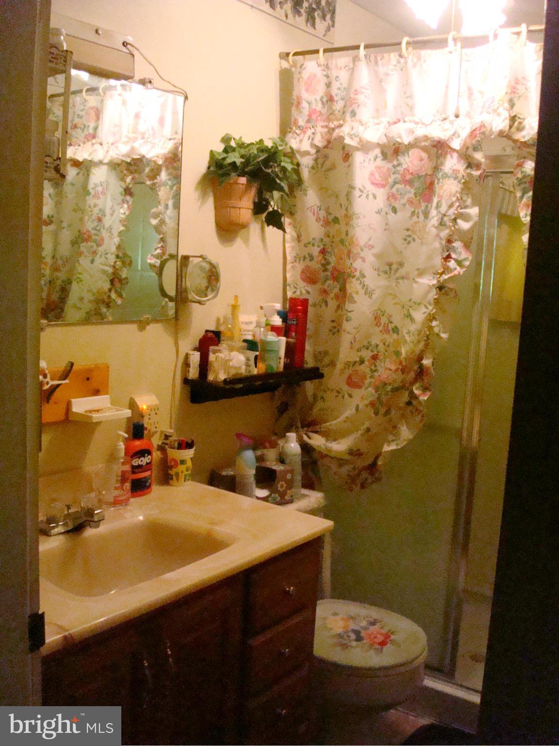 2939 Old Rte 50 Cambridge, MD 21613 - Photo 6 of 7 Bath