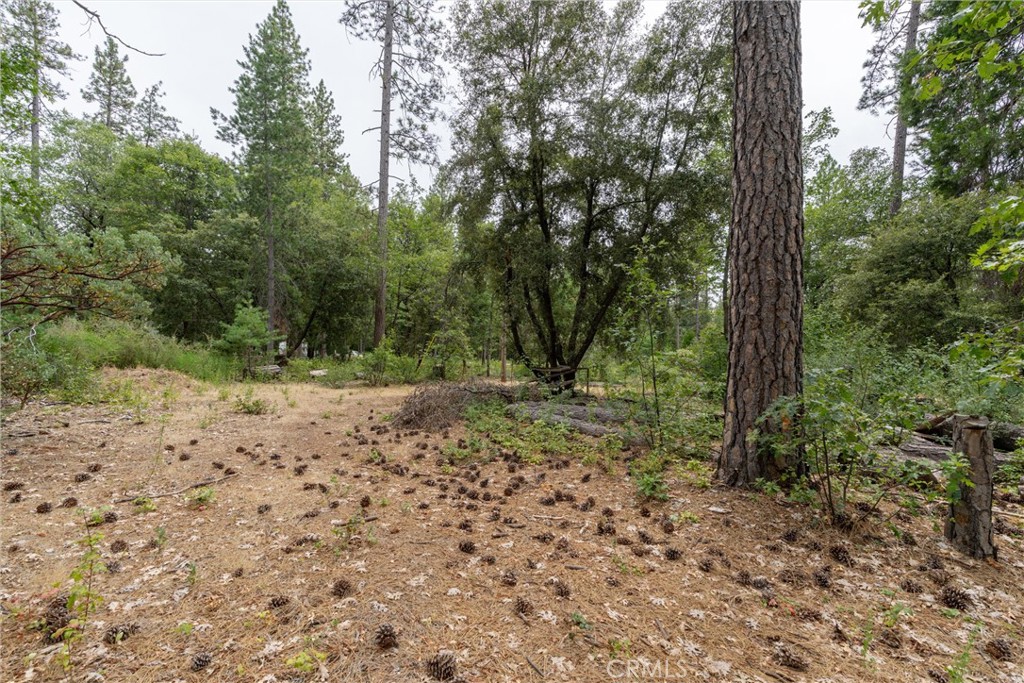 15184 Siwini Road Forest Ranch, CA 95942 - Photo 66 of 75