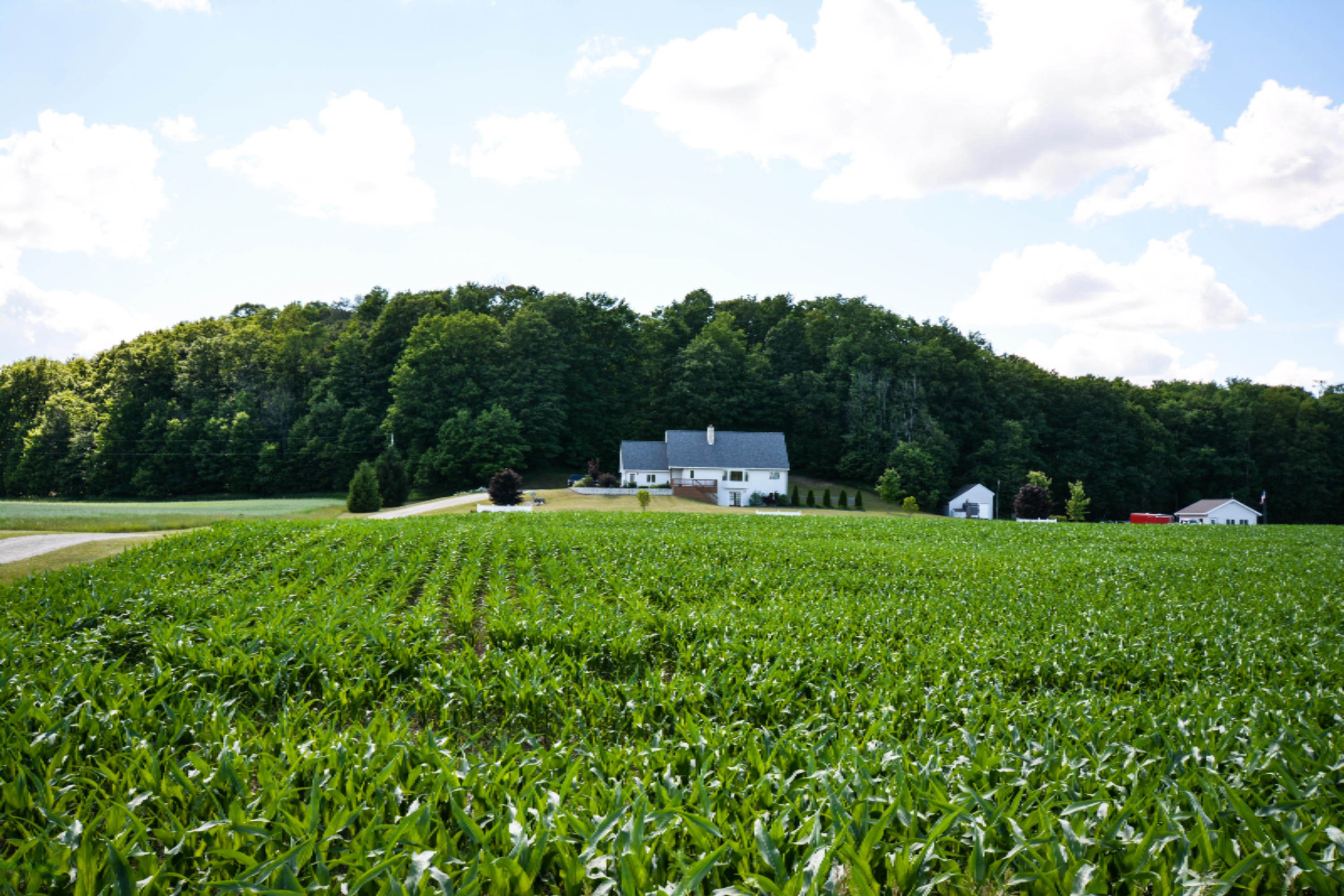 8854 Seeley Road Cadillac, MI 49601 - Photo 29 of 38 DSC_5304