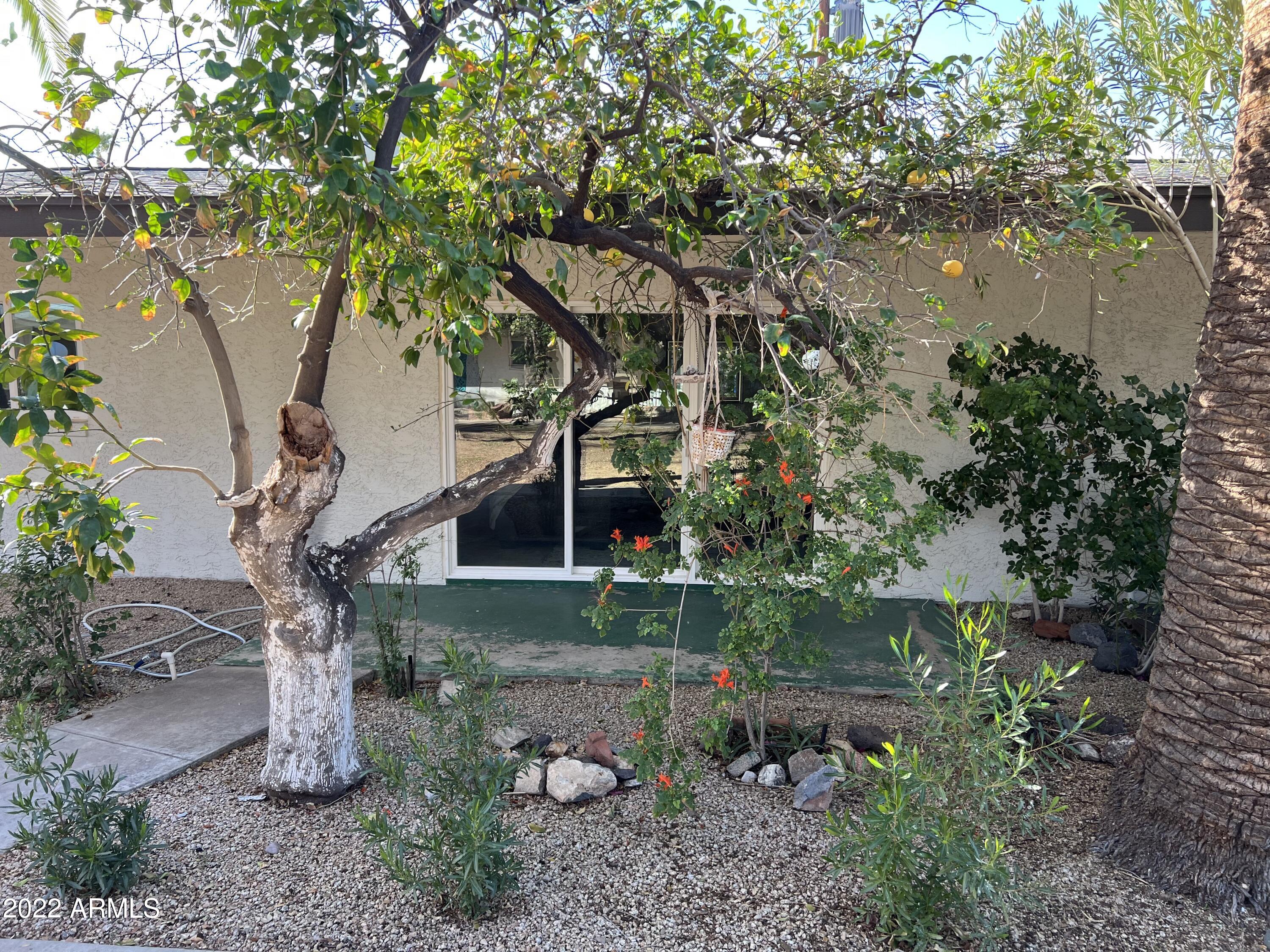 1250 East Bethany Home Road, Unit 17 Phoenix, AZ 85014 - Photo 11 of 25 a view of a plants in front of a house