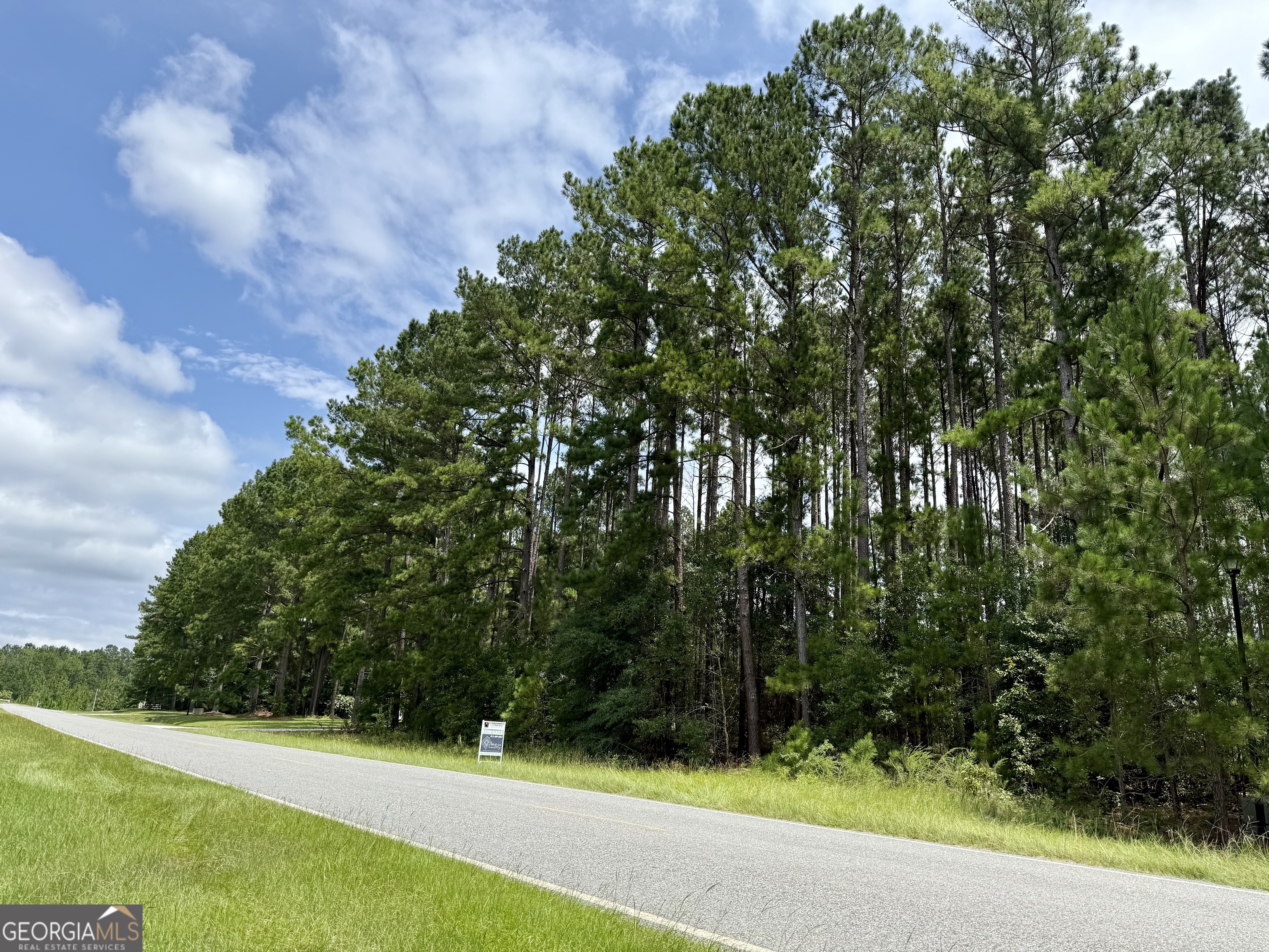 0 Middleground Road Statesboro, GA 30461 - Photo 1 of 1 Gallery Image 1