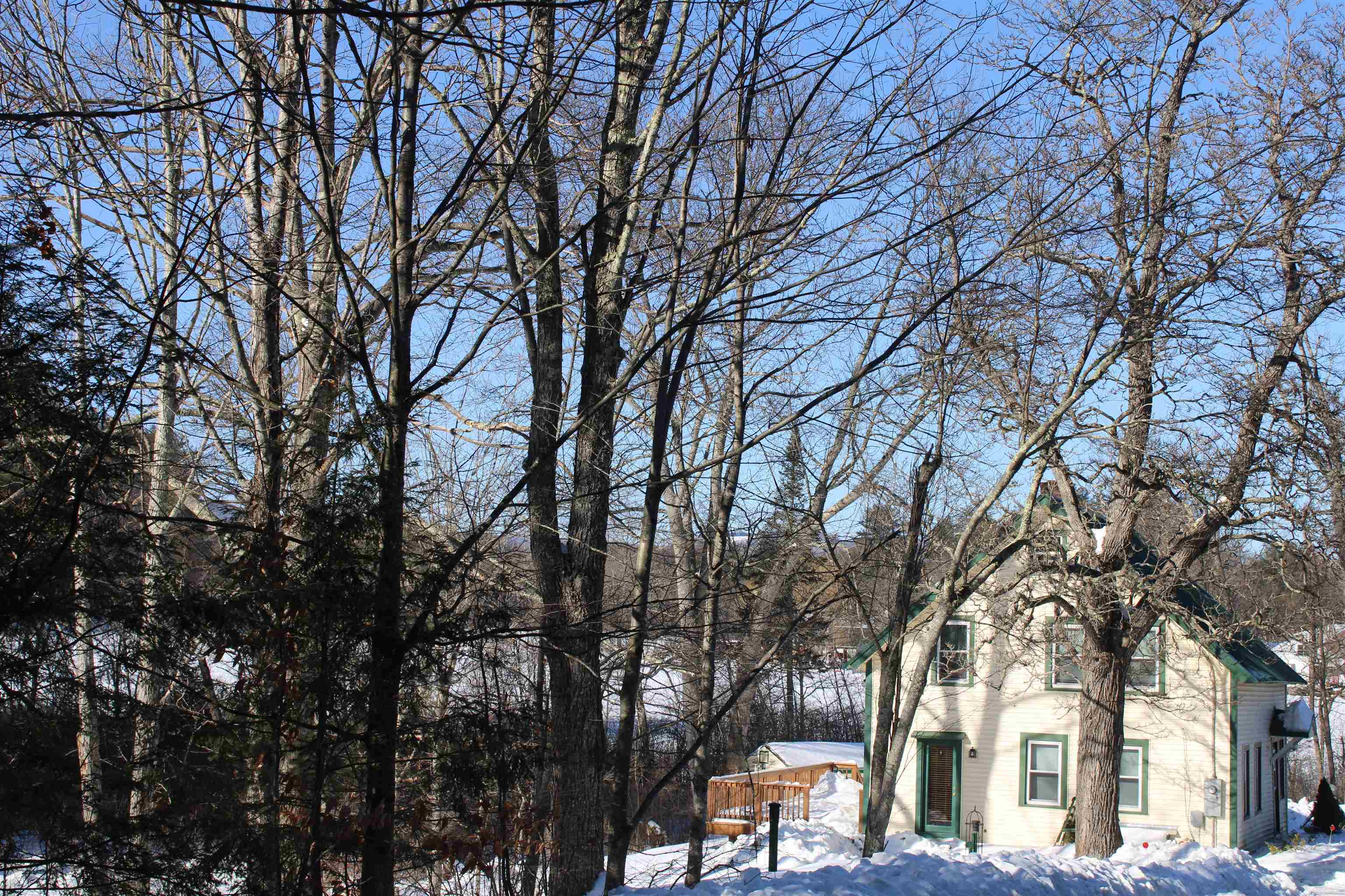 518 Cooledge Road Hillsborough, NH 03244 - Photo 25 of 28 Gallery Image 25