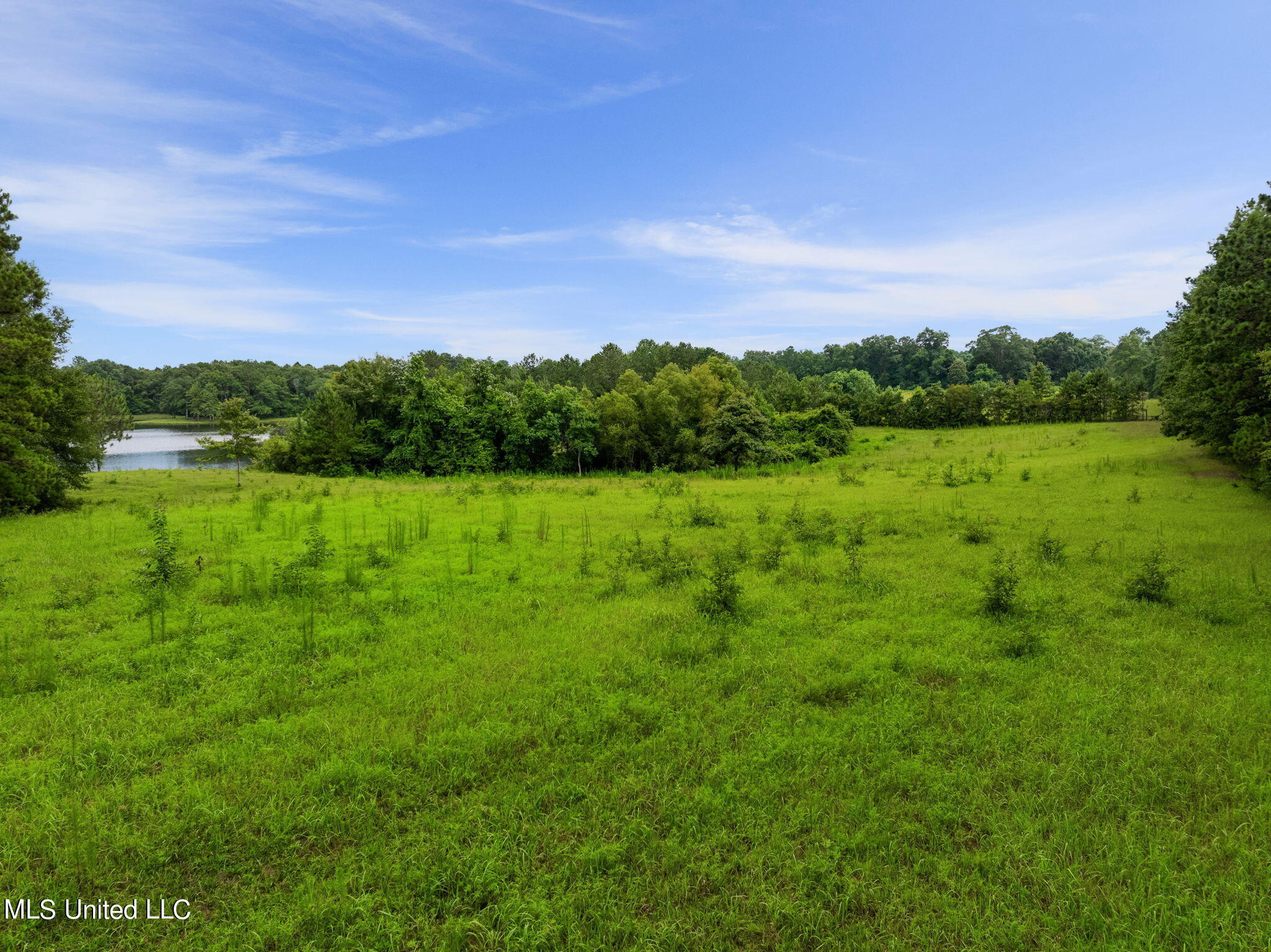 613 Thomas School Road Lumberton, MS 39455 - Photo 63 of 69 631_Thomas_School_Rd-53