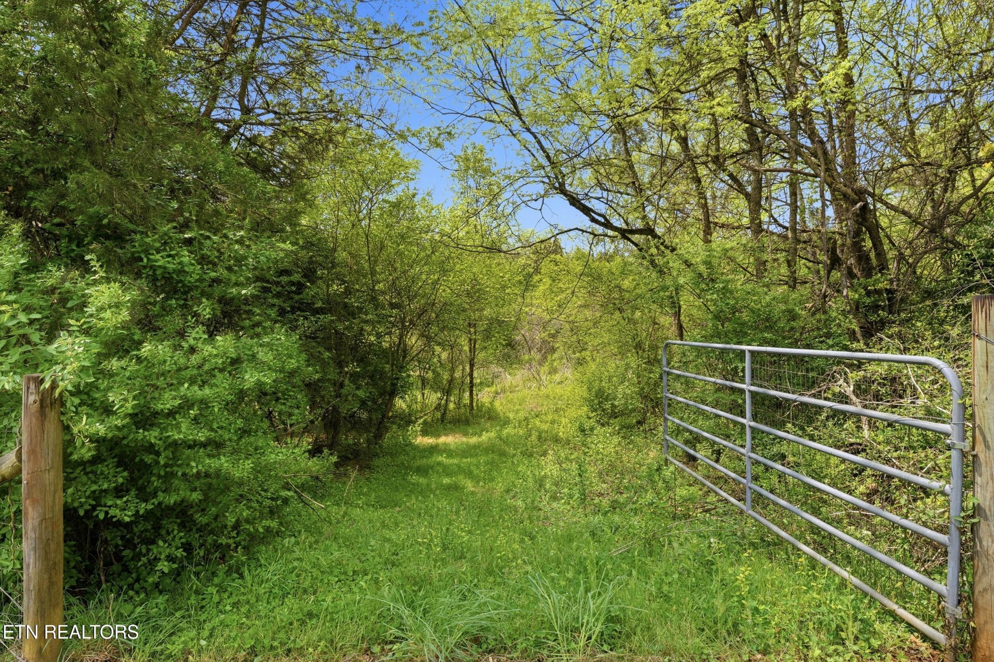 1835 Wilson Road Lenoir City, TN 37772 - Photo 42 of 57 a view of a wooden fence and trees
