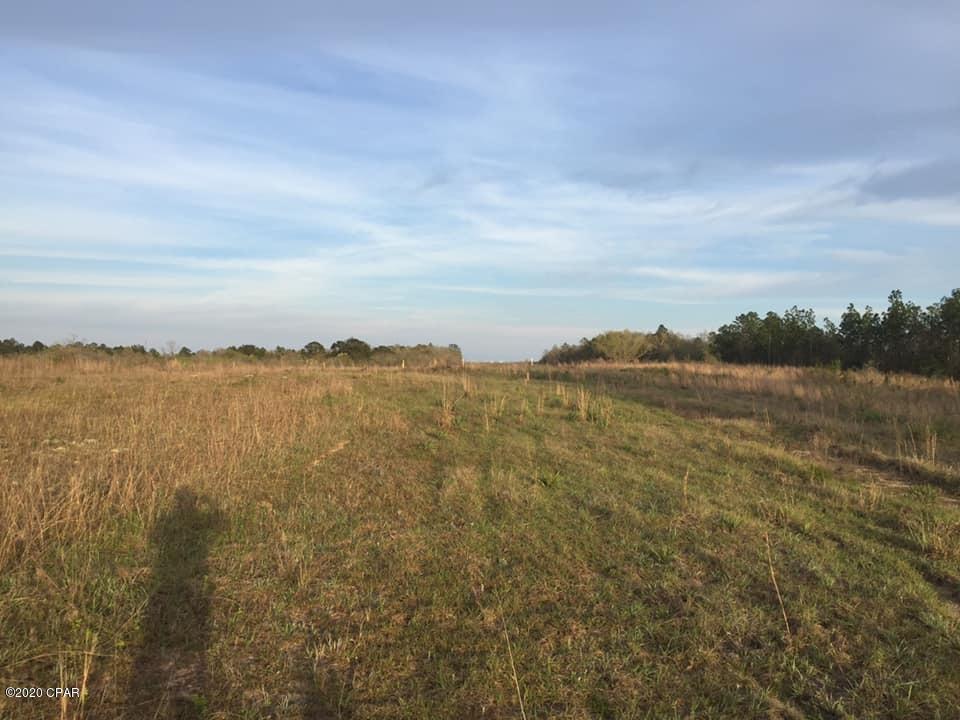 0 Ben Road Chipley, FL 32428 - Photo 8 of 10 Gallery Image 8