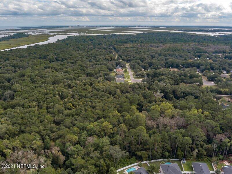 0 Chester River Road Yulee, FL 32097 - Photo 4 of 10 a view of a field with wooden floor