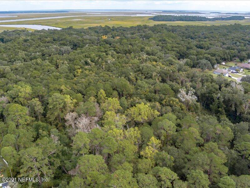 0 Chester River Road Yulee, FL 32097 - Photo 8 of 10 a view of a big yard of the green space