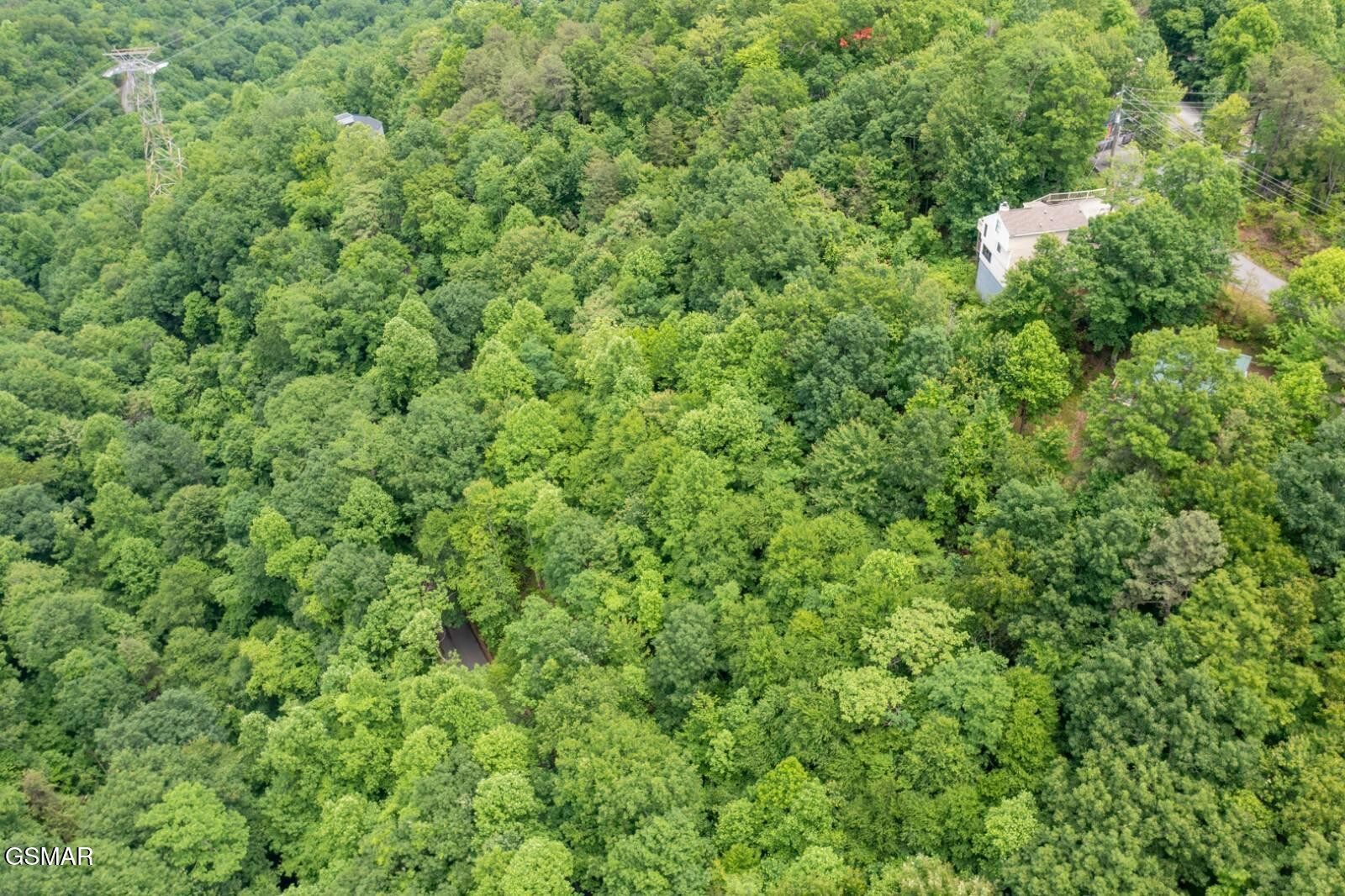 12 Zurich Road Gatlinburg, TN 37738 - Photo 9 of 13