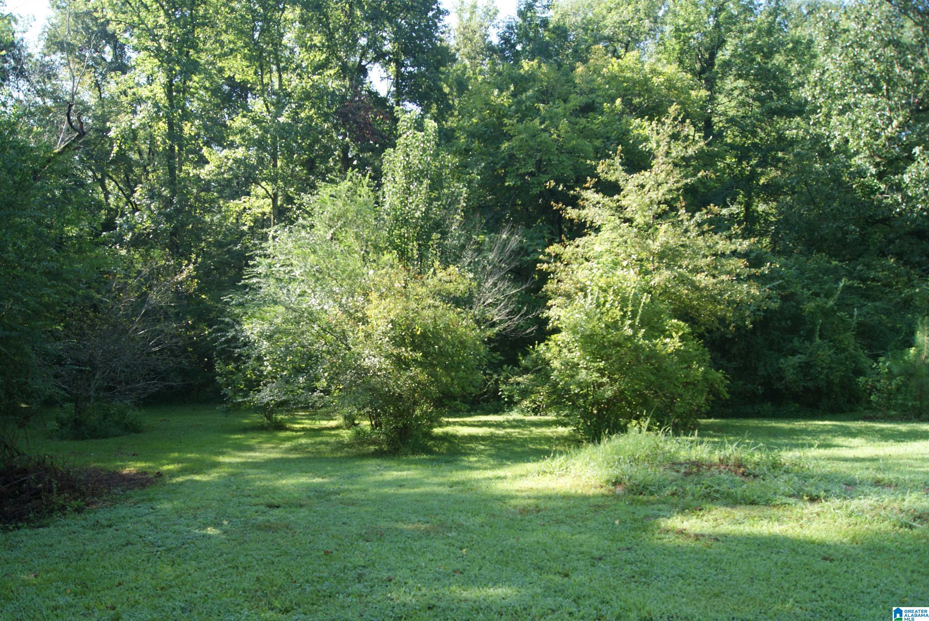 5900 Snowville Brent Road Dora, AL 35062 - Photo 10 of 27