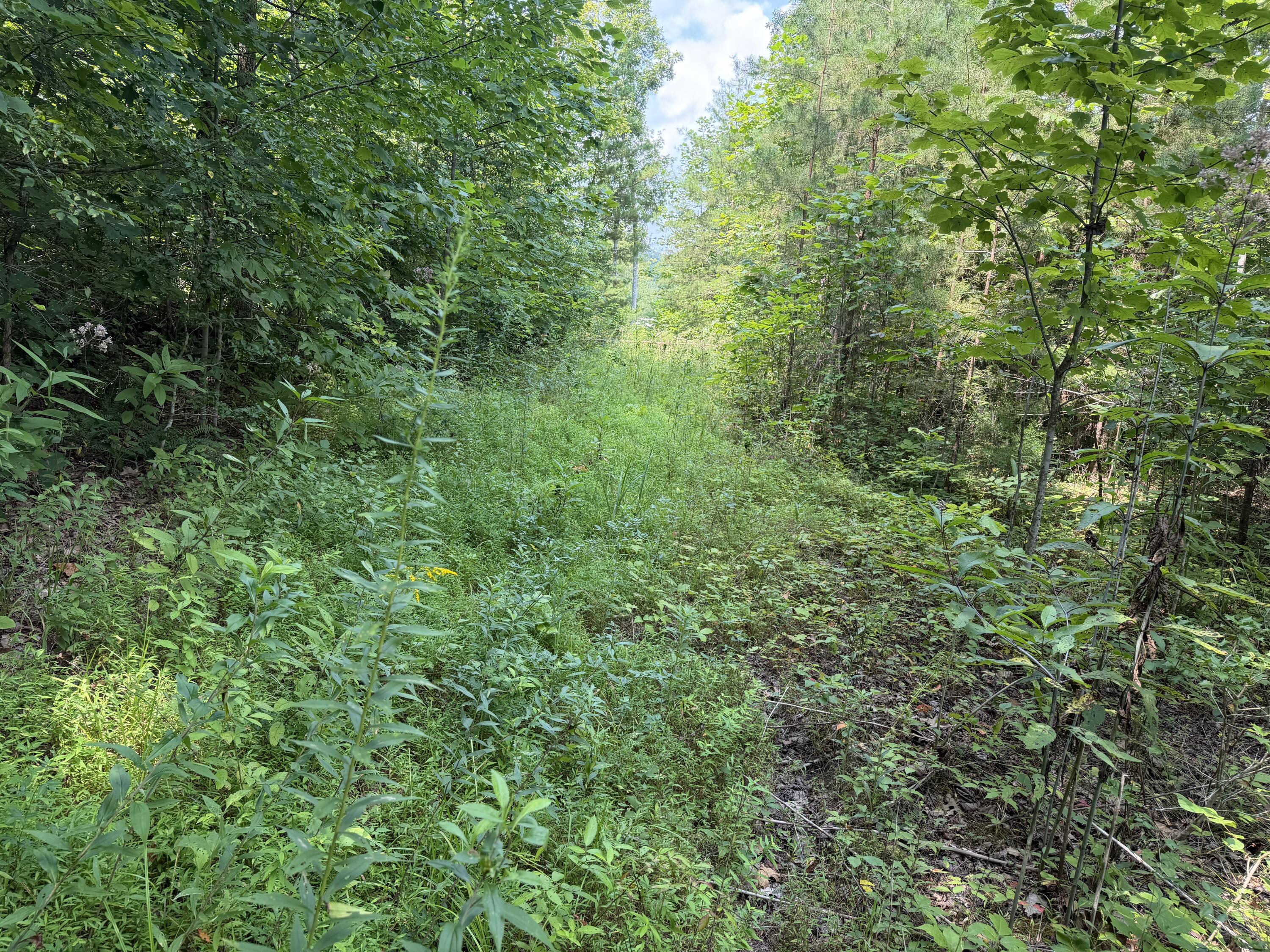 9 Tucker Hollow Road Monticello, KY 42633 - Photo 1 of 7 IMG_0287