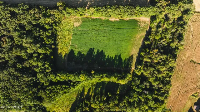 a view of a swimming pool and an outdoor space