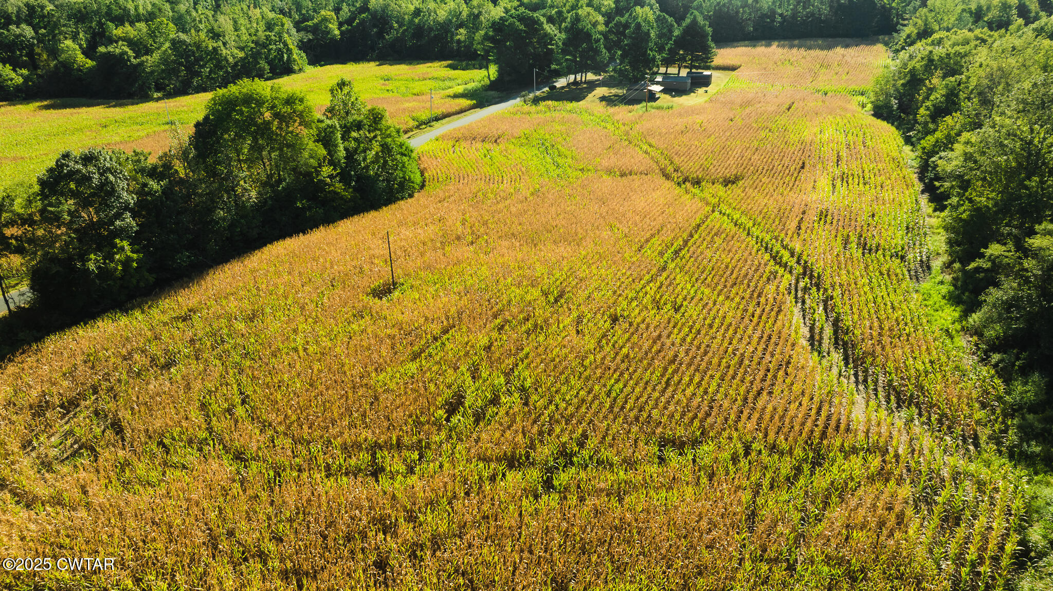 4500 Austin Springs Road Dukedom, TN 38226 - Photo 12 of 35 a view of a swimming pool and an outdoor space