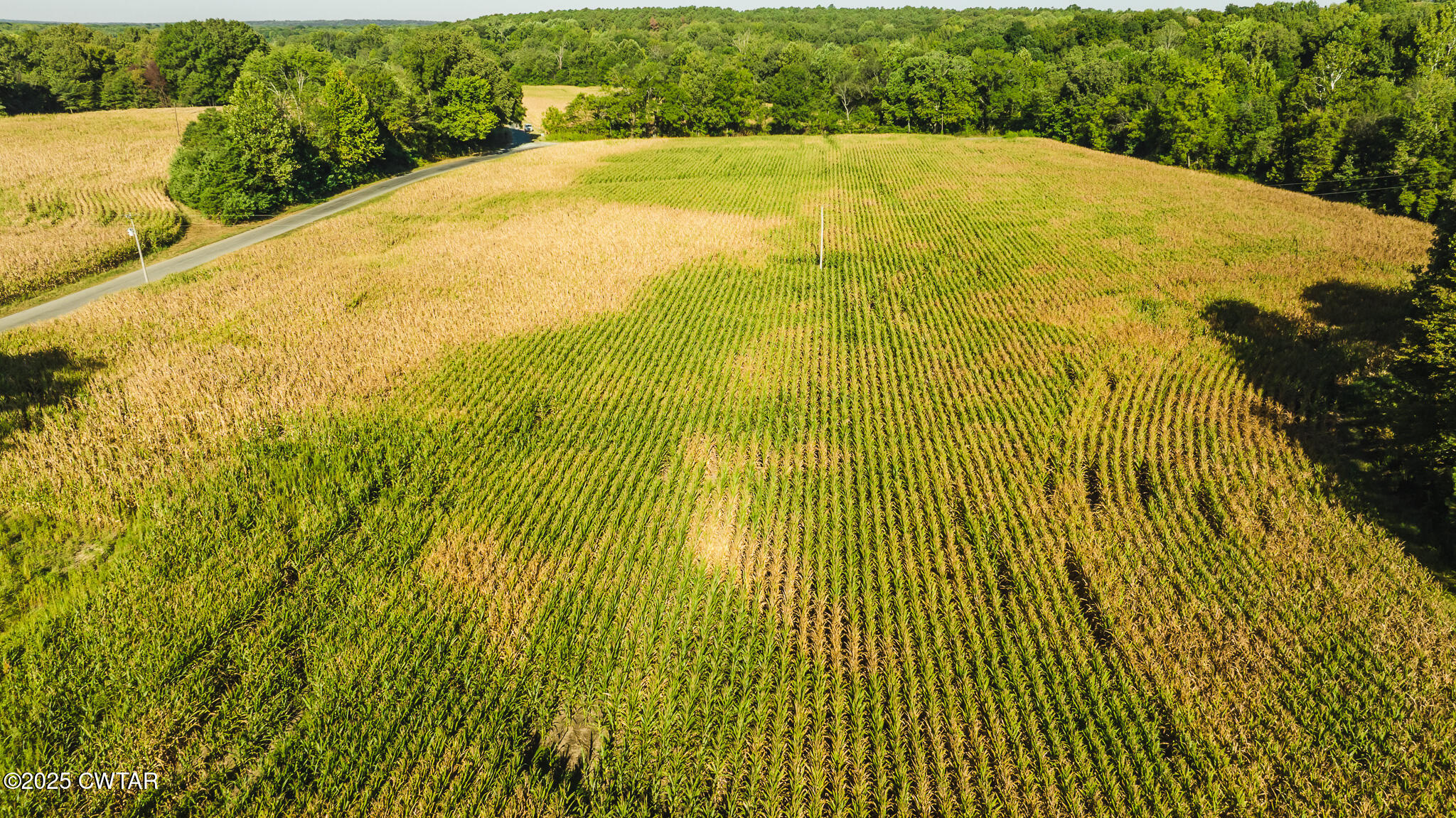 4500 Austin Springs Road Dukedom, TN 38226 - Photo 13 of 35 a view of a swimming pool and an outdoor space