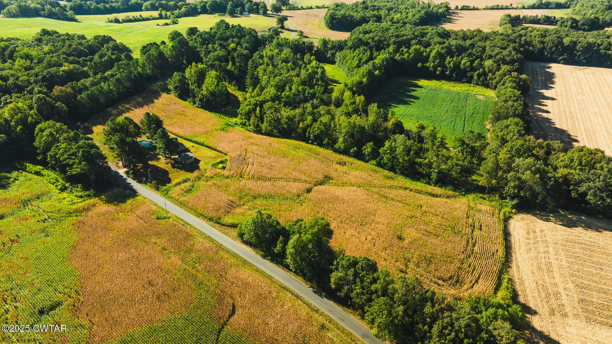4500 Austin Springs Road Dukedom, TN 38226 - Photo 16 of 35 a view of a garden