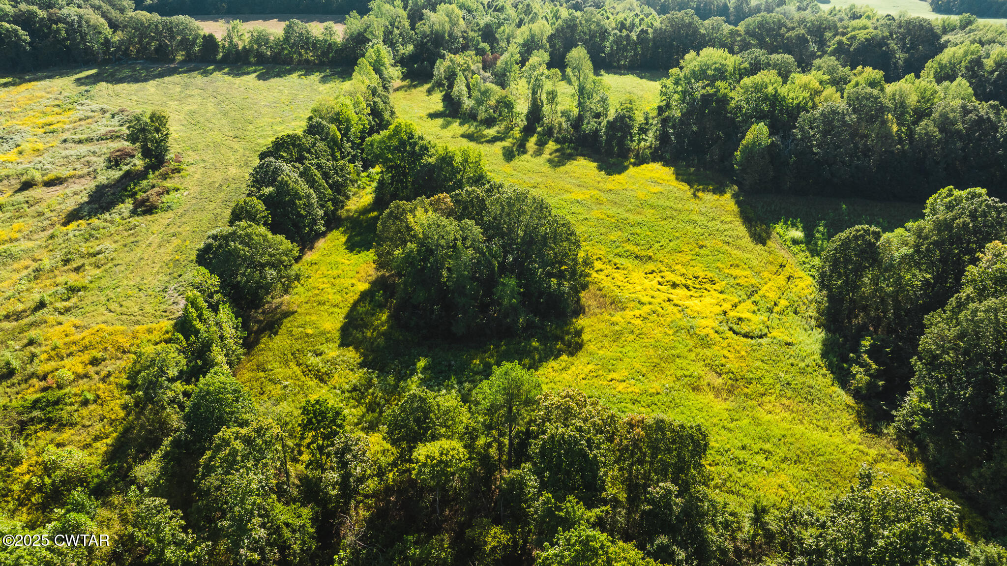 4500 Austin Springs Road Dukedom, TN 38226 - Photo 21 of 35 a view of a garden
