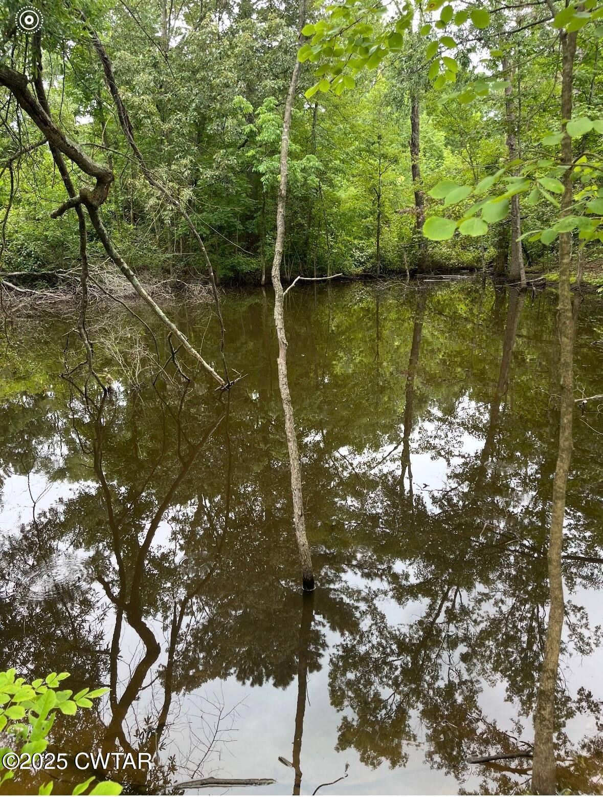 4500 Austin Springs Road Dukedom, TN 38226 - Photo 29 of 35 a view of lake