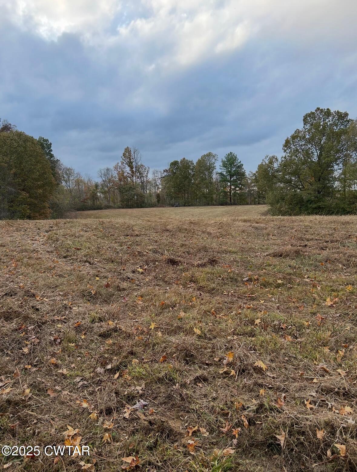 4500 Austin Springs Road Dukedom, TN 38226 - Photo 32 of 35 a view of lake