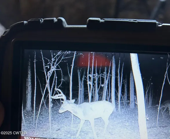 $299,000 | 4500 Austin Springs Road, Dukedom, TN 38226