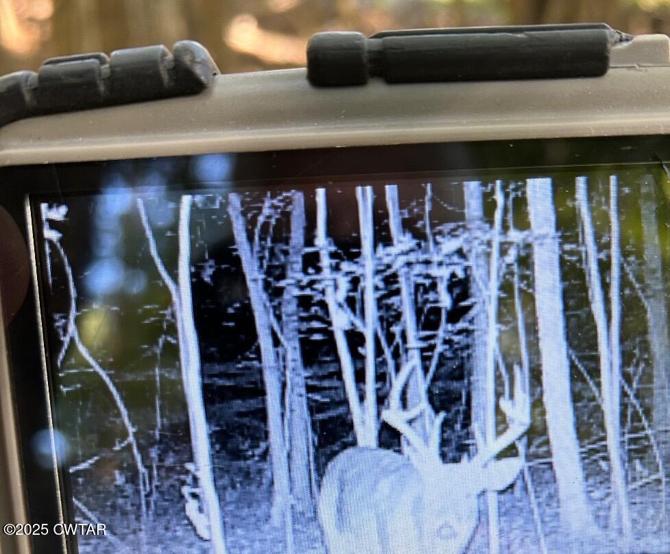 4500 Austin Springs Road Dukedom, TN 38226 - Photo 35 of 35 a close view of water heater room