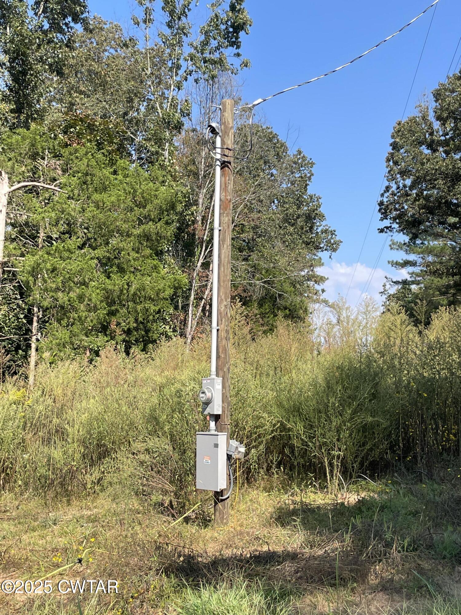 4500 Austin Springs Road Dukedom, TN 38226 - Photo 6 of 35 a view of a yard
