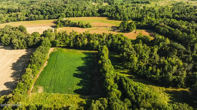 a view of a forest with a lake