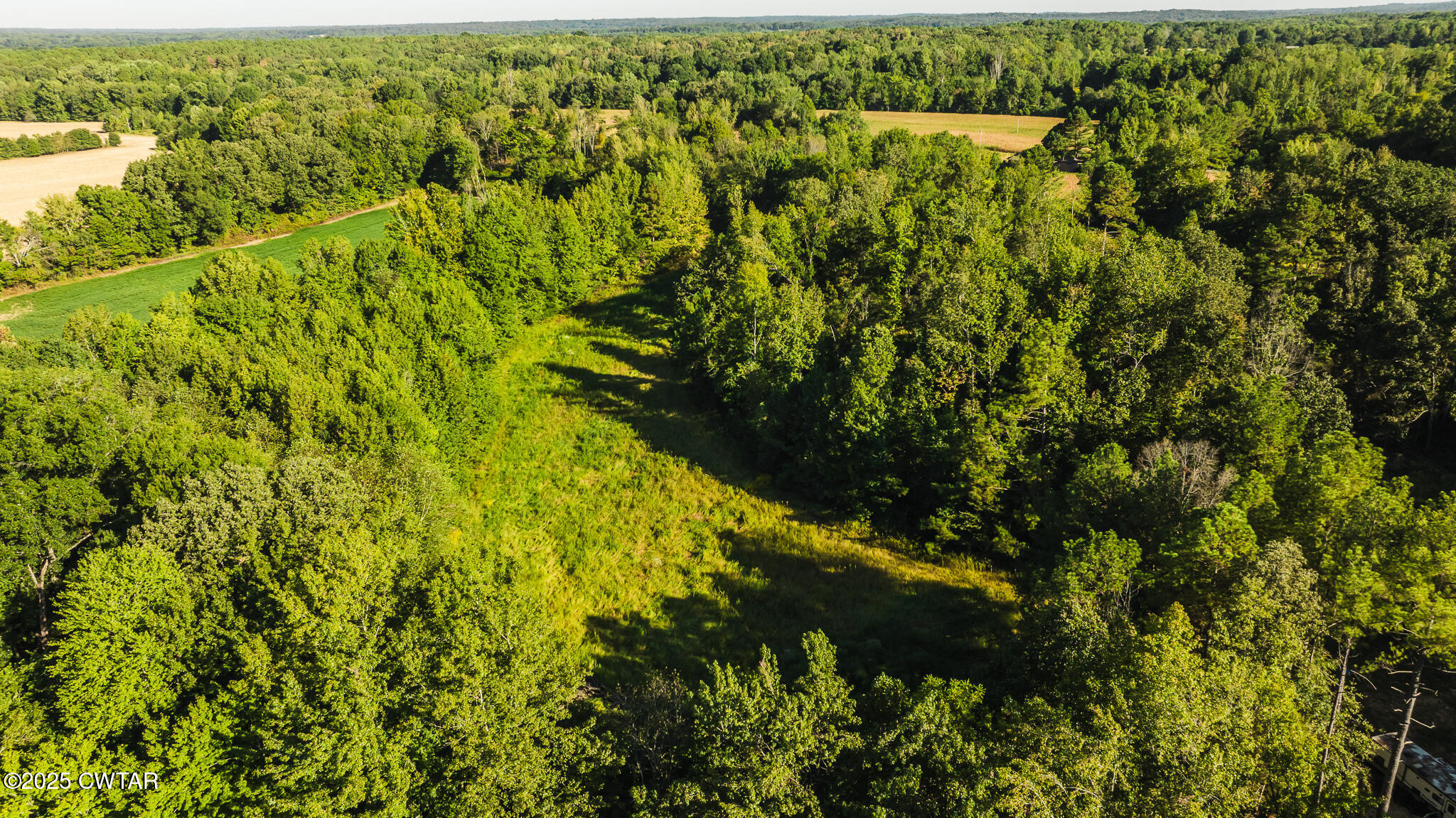 4500 Austin Springs Road Dukedom, TN 38226 - Photo 10 of 35 a view of a forest with a lake