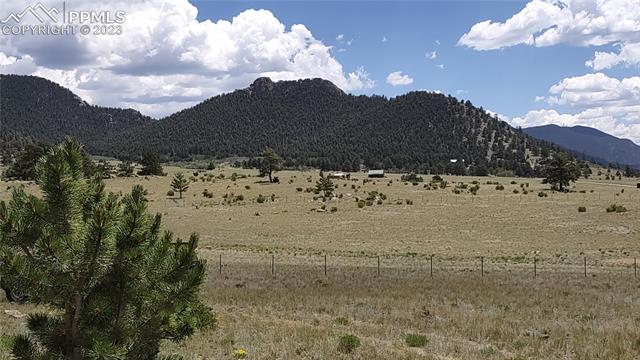 7228 Boulder Road Lake George, CO 80827 - Photo 17 of 35 Gallery Image 17