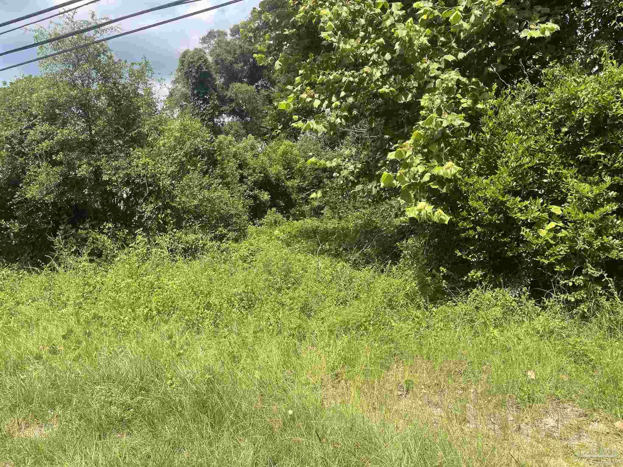 419 North Corry Field Road Pensacola, FL 32506 - Photo 5 of 5 a view of a lush green forest