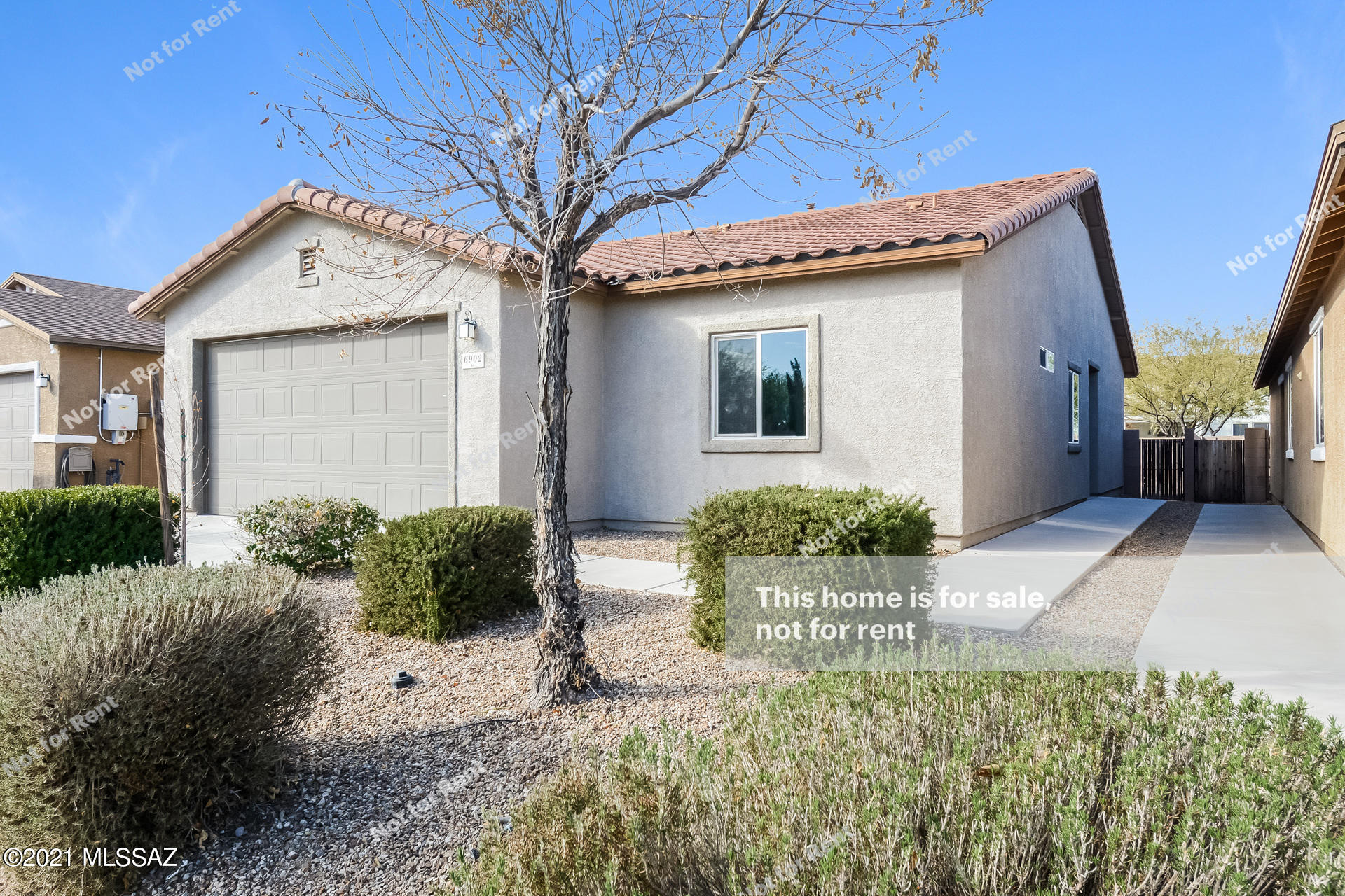 6902 South Bittercress Road Tucson, AZ 85756 - Photo 8 of 27 Gallery Image 8