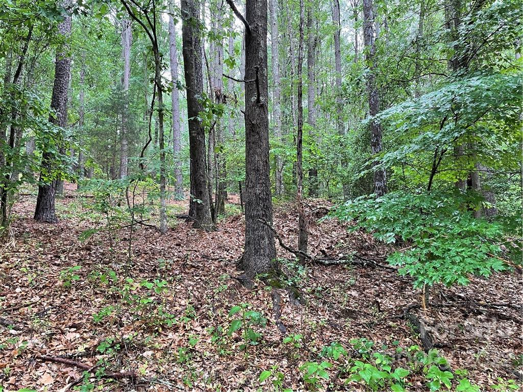 409 Hopewell Church Road Catawba, NC 28609 - Photo 1 of 5 Gallery Image 1