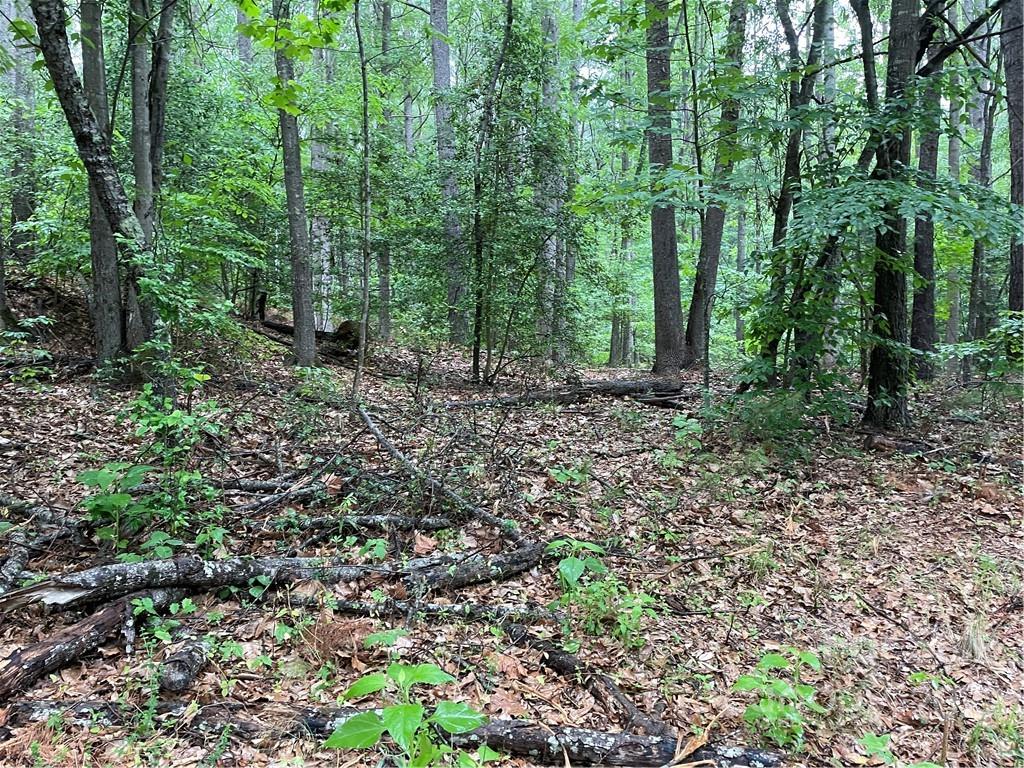 409 Hopewell Church Road Catawba, NC 28609 - Photo 2 of 5 Gallery Image 2