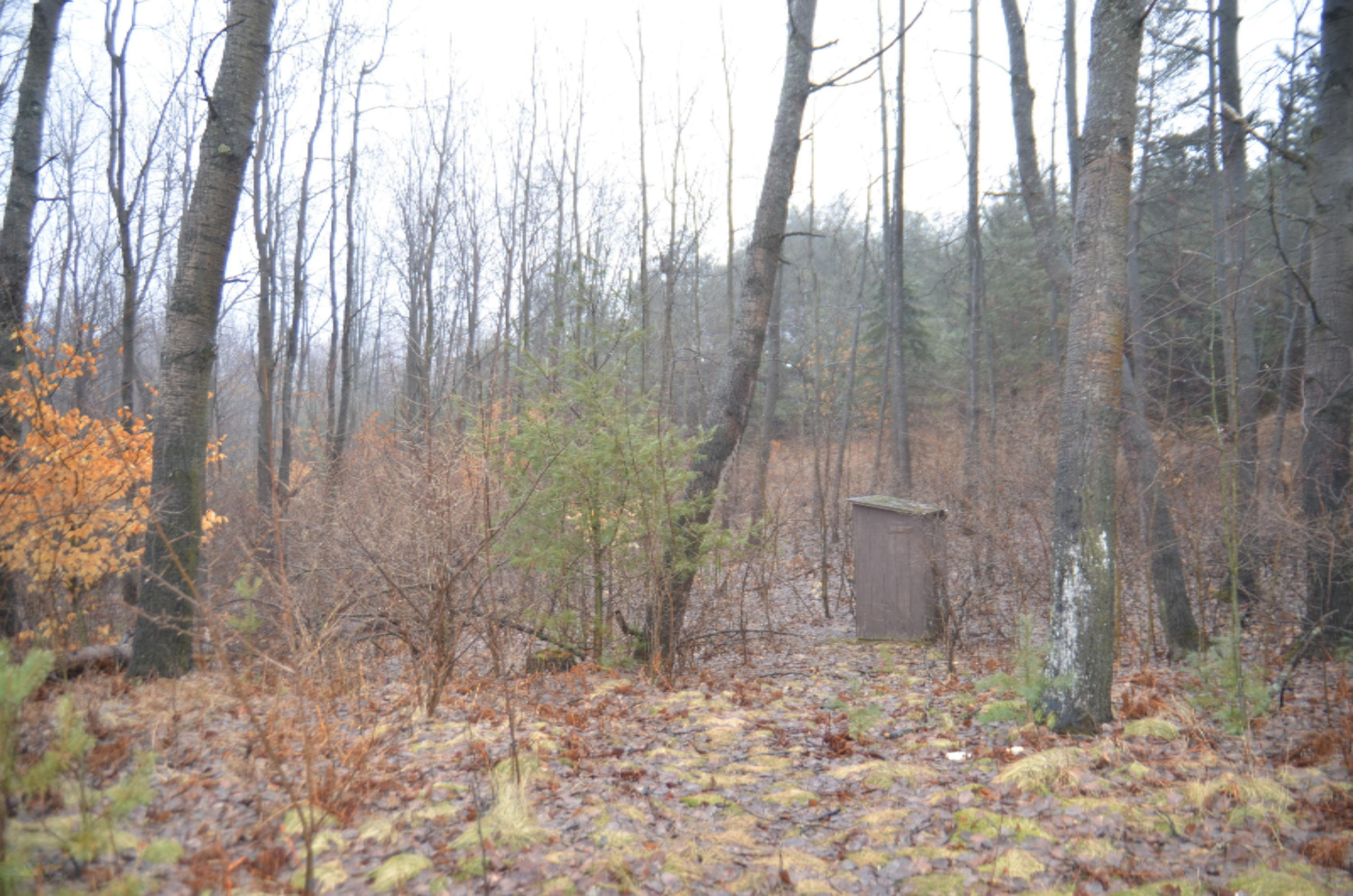 7033 East 17 Mile Road Reed City, MI 49677 - Photo 4 of 10 DSC_7693