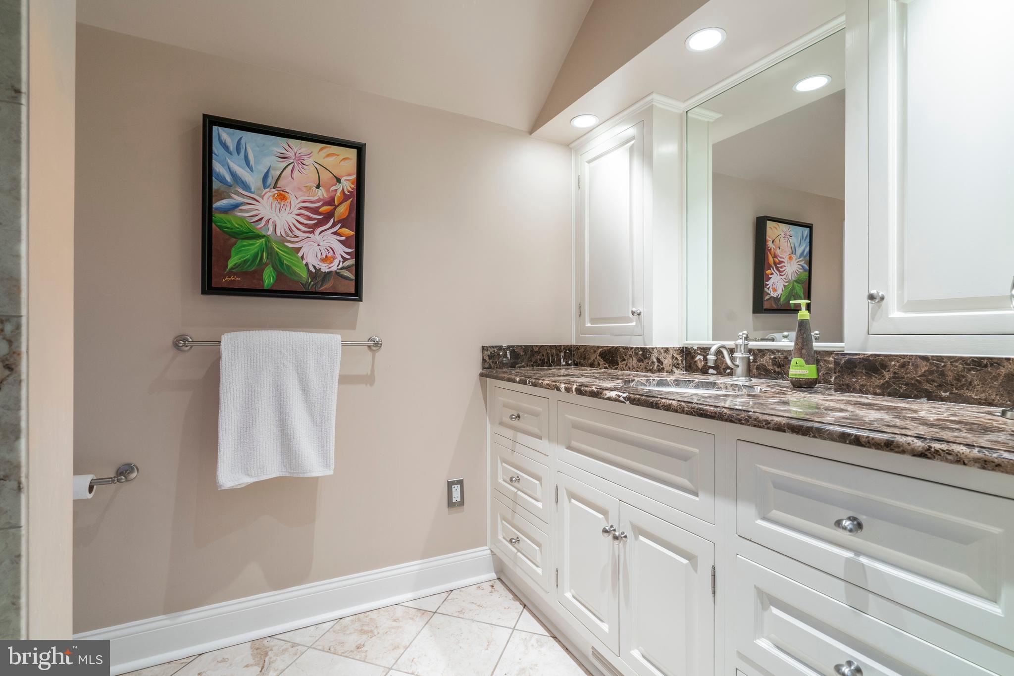 330 Hamilton Road Merion Station, PA 19066 - Photo 28 of 53 Primary Bathroom