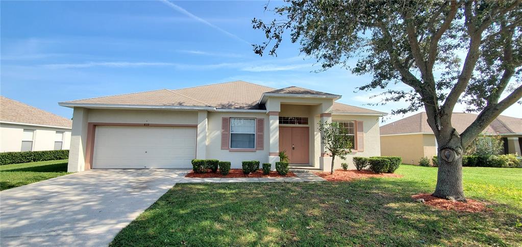 a front view of a house with a yard and an tree