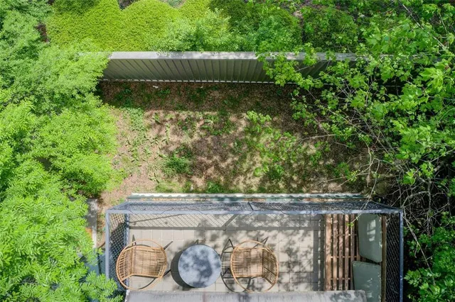 a small garden covered with tall trees