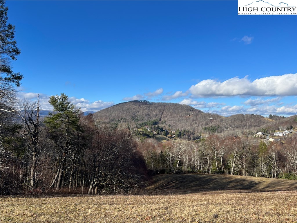 Lot 12 Hartley Knob Boone, NC 28607 - Photo 1 of 13