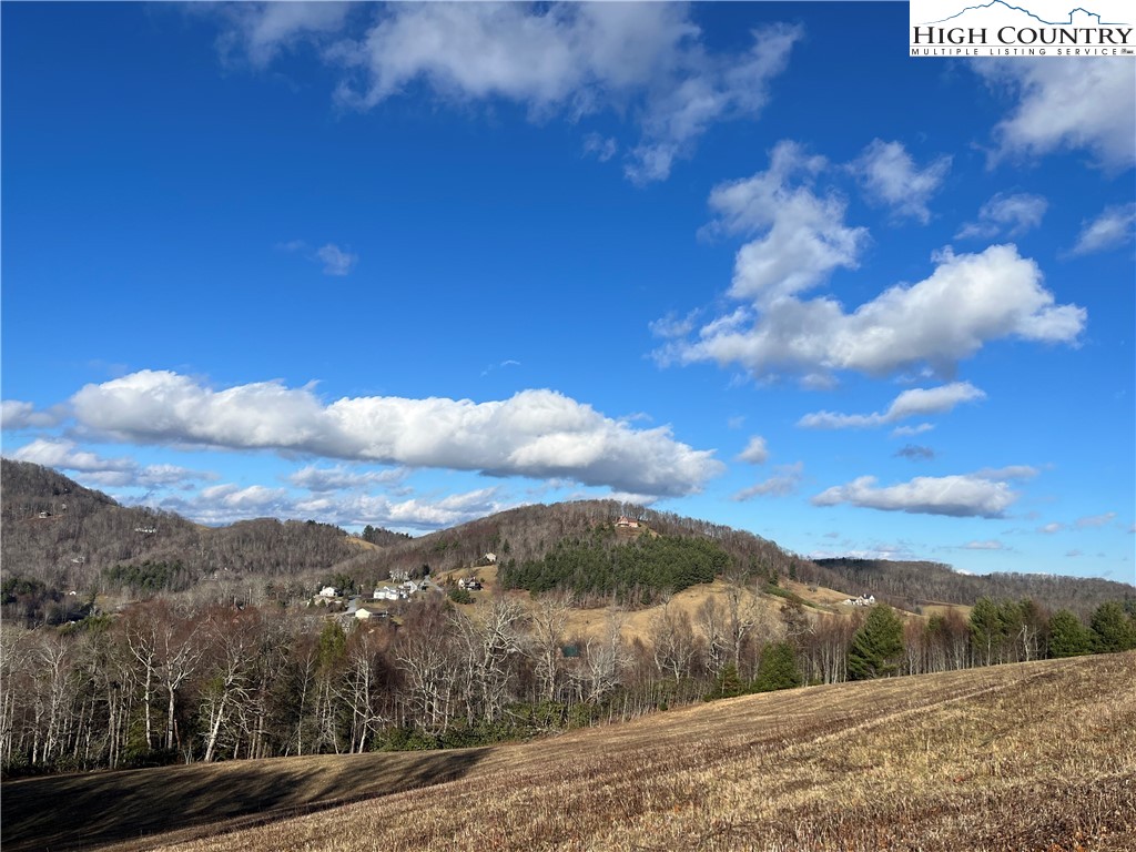 Lot 12 Hartley Knob Boone, NC 28607 - Photo 2 of 13