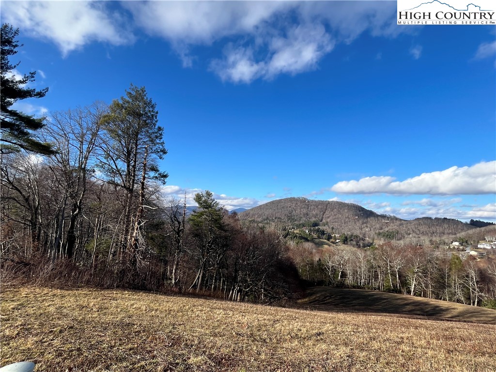 Lot 12 Hartley Knob Boone, NC 28607 - Photo 5 of 13