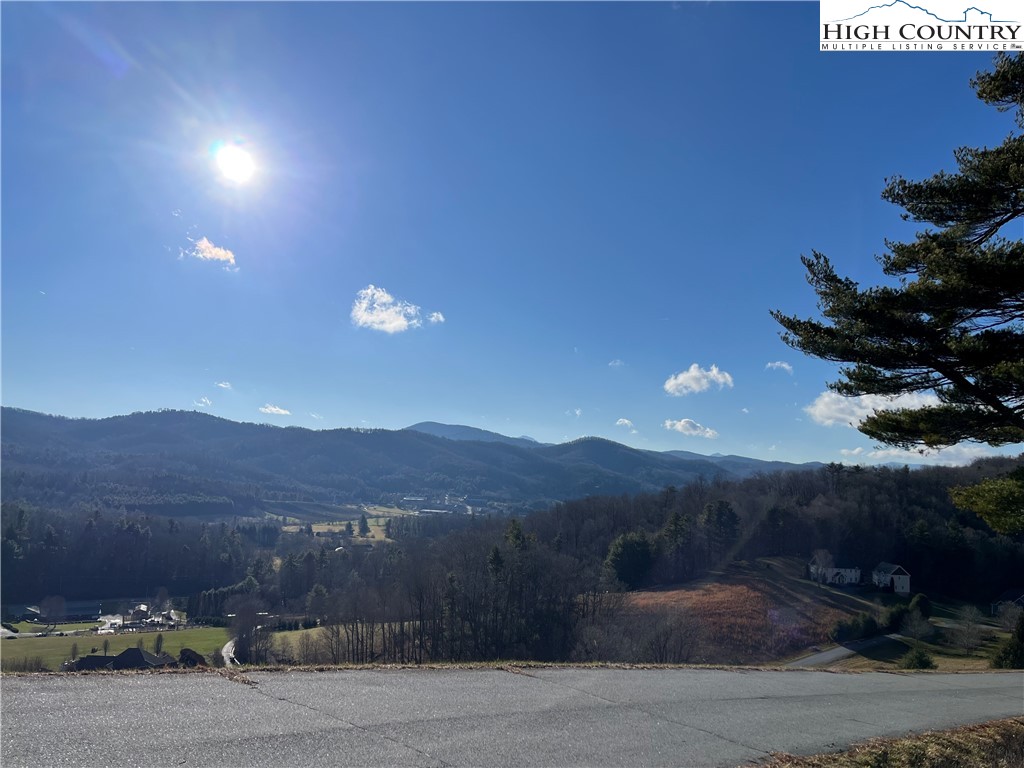 Lot 12 Hartley Knob Boone, NC 28607 - Photo 6 of 13