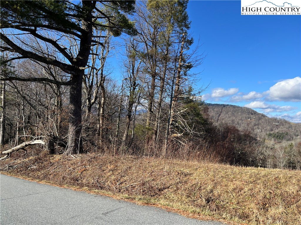 Lot 12 Hartley Knob Boone, NC 28607 - Photo 8 of 13