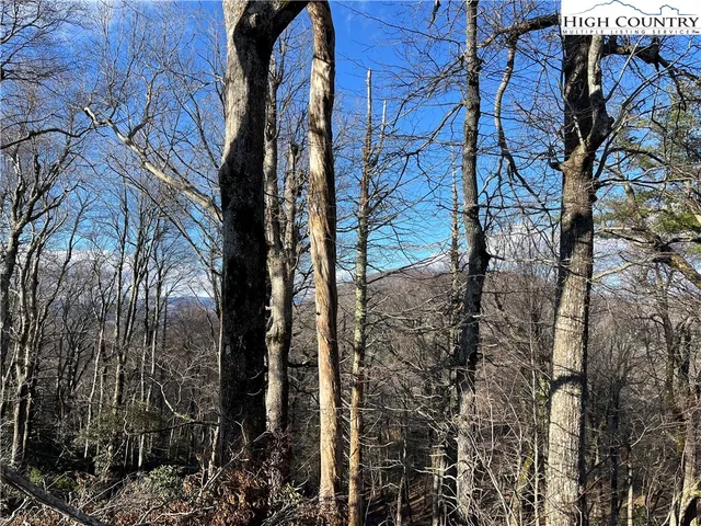 $160,000 | Lot 12 Hartley Knob, Boone, NC 28607