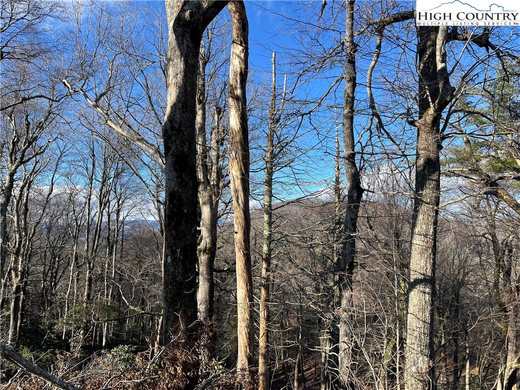 Lot 12 Hartley Knob Boone, NC 28607 - Photo 9 of 13