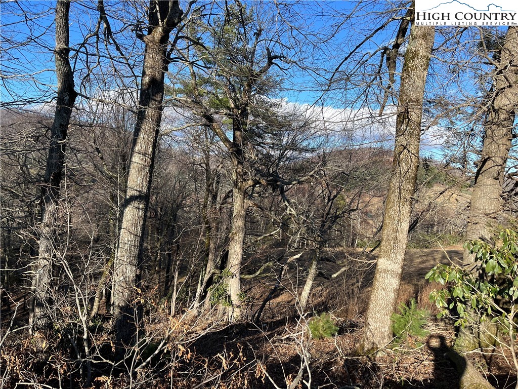 Lot 12 Hartley Knob Boone, NC 28607 - Photo 10 of 13