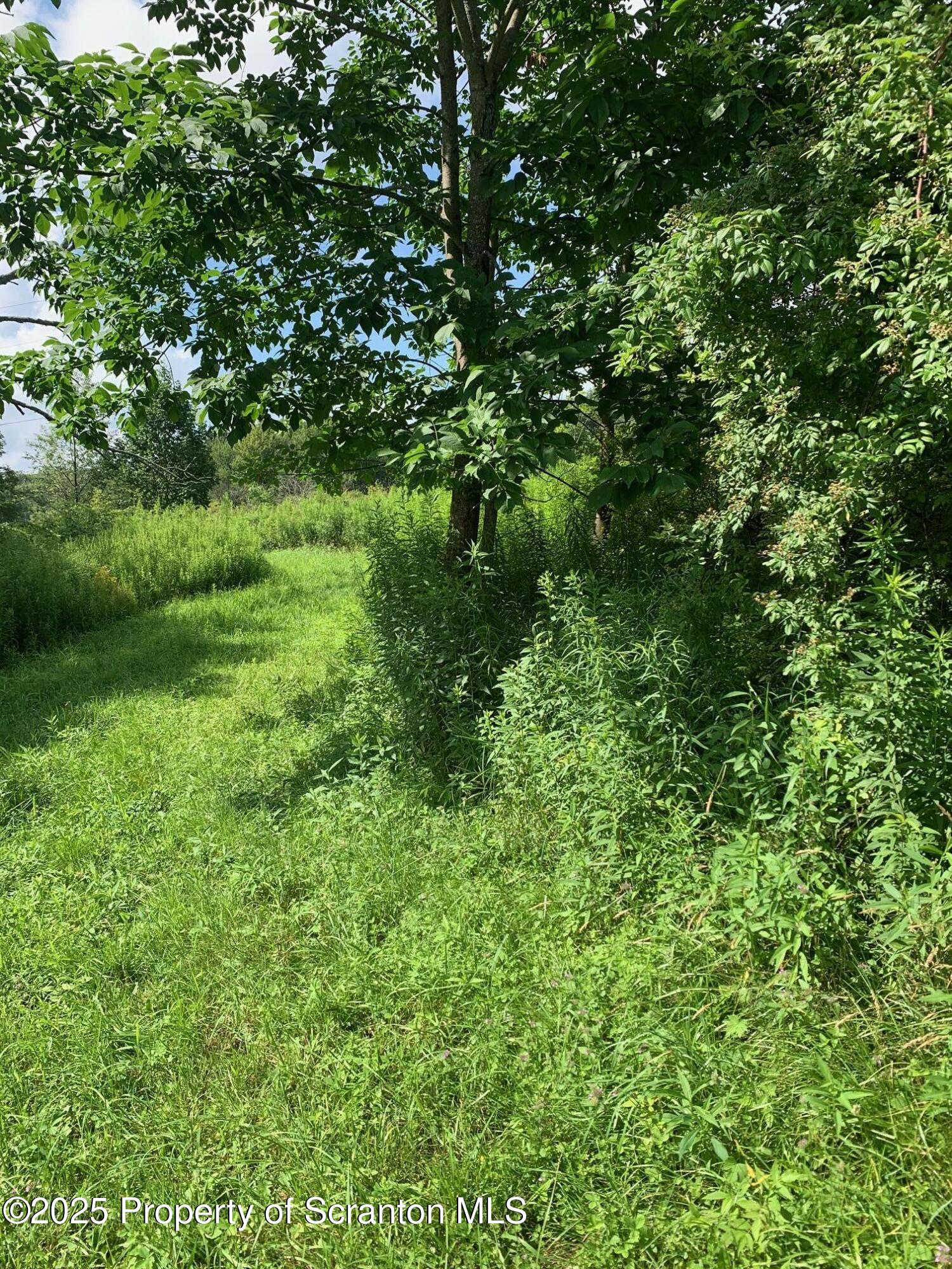 1855 Ararat Road Thompson, PA 18465 - Photo 2 of 8 Ararat Twp Lane2