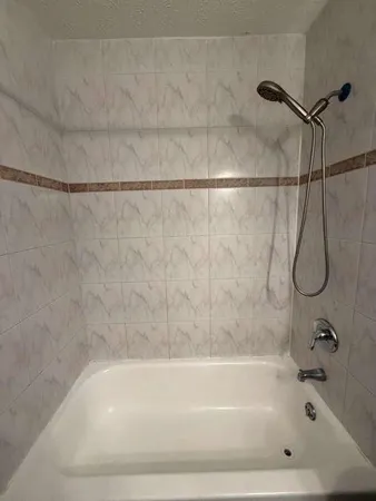 a bathroom with a bath tub and a shower